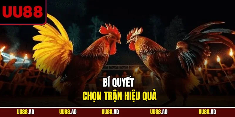 Bí quyết chọn trận hiệu quả