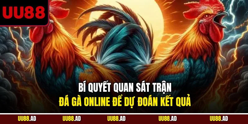 Bí quyết quan sát trận đá gà online để dự đoán kết quả