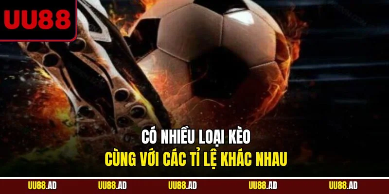 Có nhiều loại kèo cùng với các tỉ lệ khác nhau