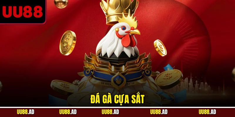 Đá gà cựa sắt